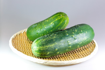 加賀野菜、加賀太きゅうり