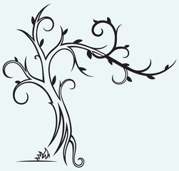 Tree silhouette isolated on blue background