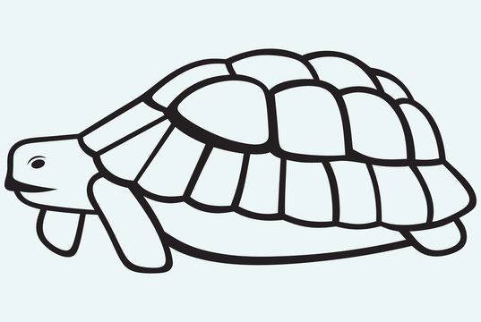 recommend clip art: Sea turtle isolated on blue background