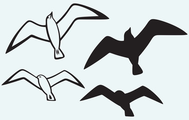 Silhouette of seagulls isolated on blue background