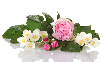 Jasmine branch and tea-rose