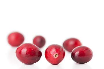 Cranberry