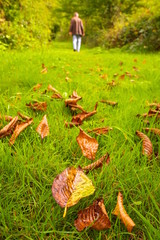 Herbstspaziergang