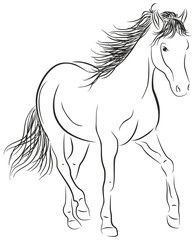 Obraz na płótnie Canvas Calligraphic Horse - Illustration
