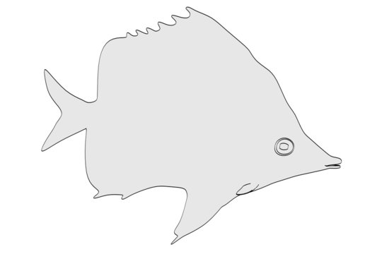 cartoon image of aquarium fish