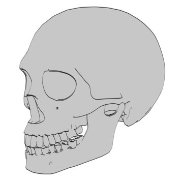 cartoon image of male skull