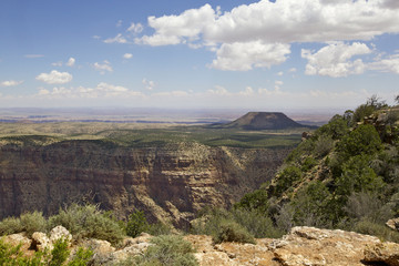 Fototapeta na wymiar widok pustyni, le Grand Canyon, Arizona