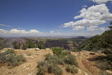 Fototapeta na wymiar widok pustyni, le Grand Canyon, Arizona