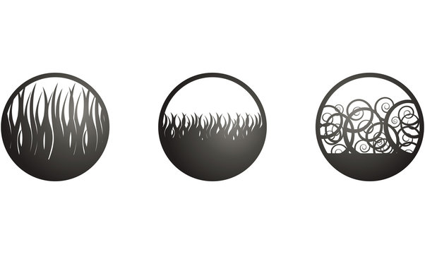 pictos poils noirs