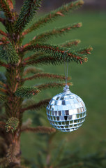 mirror ball hanging on a Christmas tree branch
