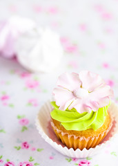 Beautiful cupcake with colorful frosting and sugar flower