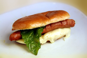 hot dog