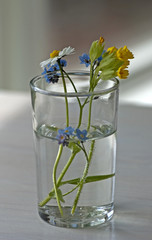 Some picked spring flowers in a glass of water.