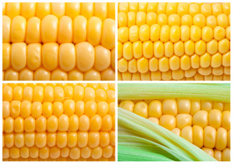 Corn