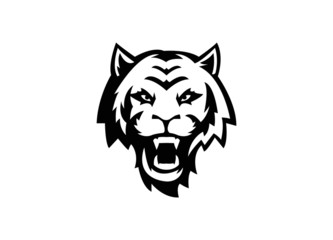 head of tiger