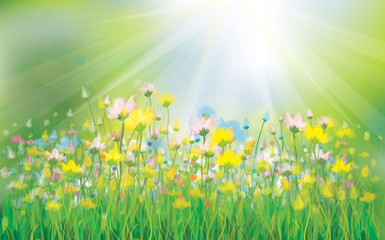 Fototapeta na wymiar Vector sunshine background with colorful flowers.