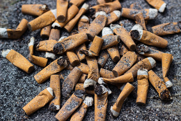 Cigarette butts