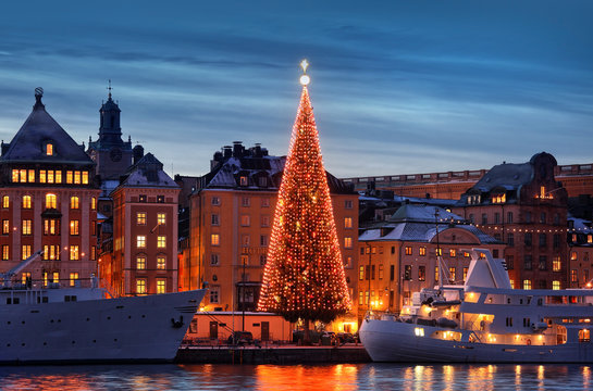 Stockholms Old City With Christmas Tree