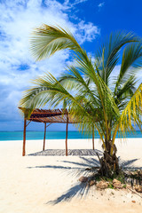 Obraz na płótnie Canvas White sand beach in the tropics