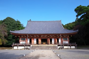 Obraz premium 醍醐寺金堂
