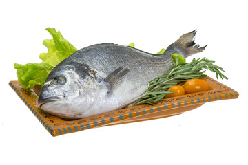 Raw dorado