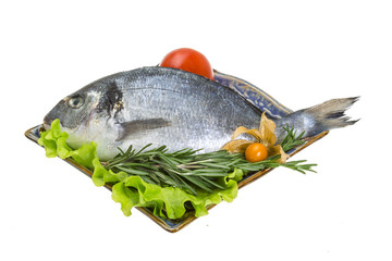 Raw dorado with herbs