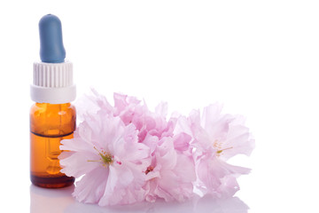 homeopathic liquid essence with pink blossom