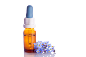 myosotis wildflower natural essence in a dropper