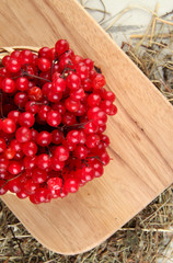 Red berries of viburnum on stand with hay on wooden background