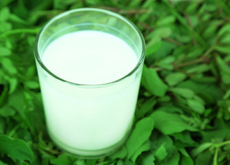 Glass of milk on grass