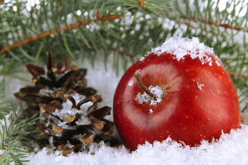 Red apple with fir branches and bumps in snow close up © Africa Studio