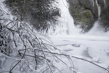 Horsetail falls Frozen in Winter with Tree Branches