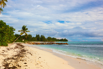 Seychelles tropical beach at sunset