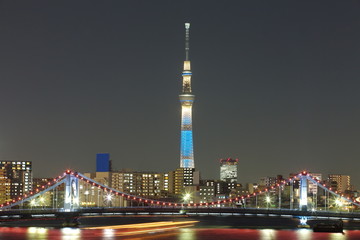 Obraz premium TOKYO Sky tree