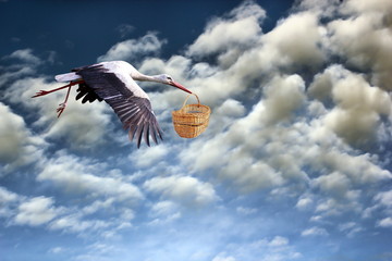stork bringing baby in basket