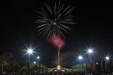  colorful fireworks in new year holiday anniversary
