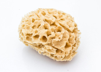 Synthetic bath sponge from low perspective isolated on white.