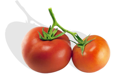 Pomodori