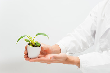 植物を手にしている研究者