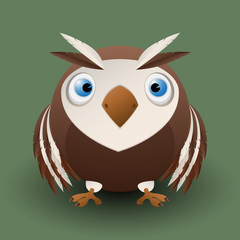Cute baby owl