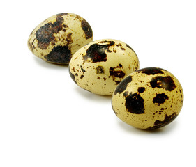 isolated image of three quail eggs on white background