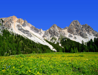 Fanes Park, Dolomites - Italy