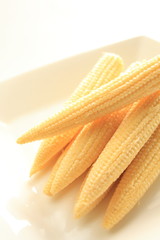 Baby corn on whtie background