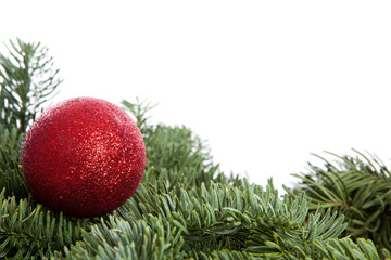 Red Christmas ball on pine tree