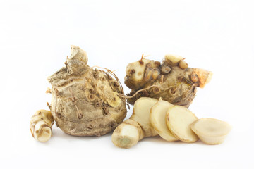 Curcuma xanthorrhiza Roxb. Wan-chak-mot-luk. (Thailand Name )