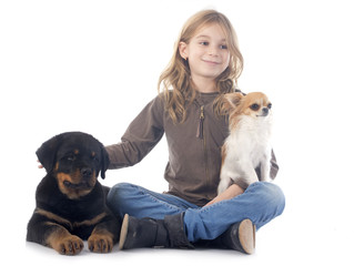 child and dogs