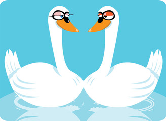 funny swans in love