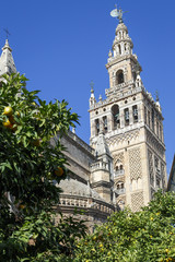 Giralda tower, the belfry of the Cathedral of Sevilla