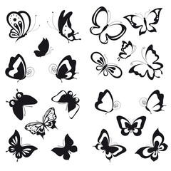 Obraz premium butterflies design