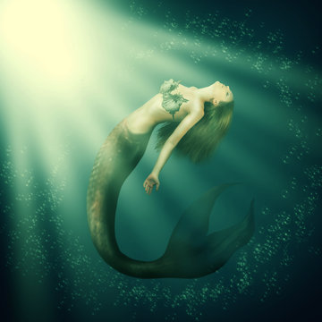 Fantasy Beautiful Woman Mermaid With Tail